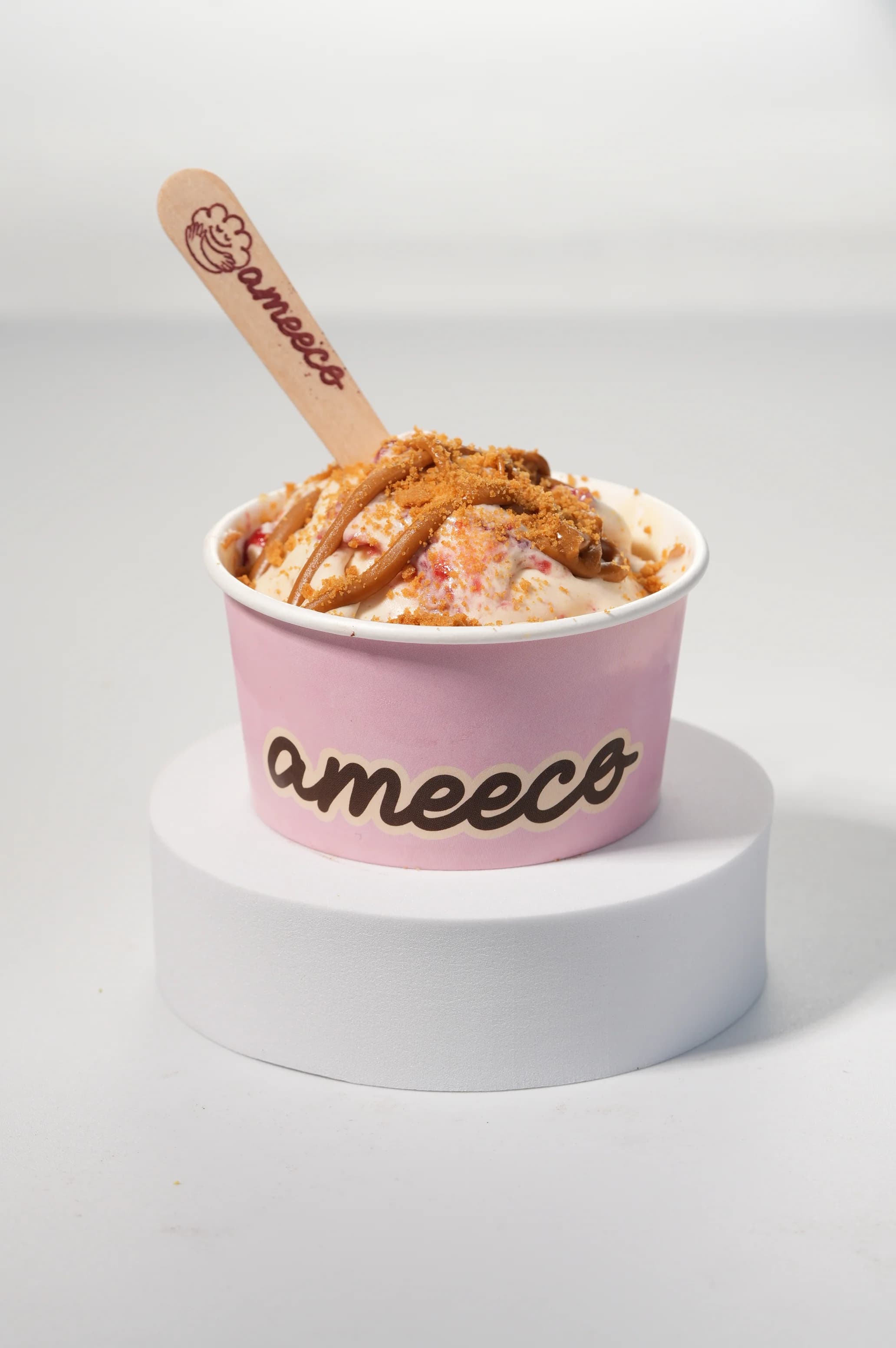 Ameeco 3